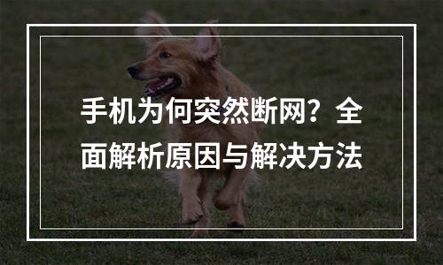 手机为何突然断网？全面解析原因与解决方法