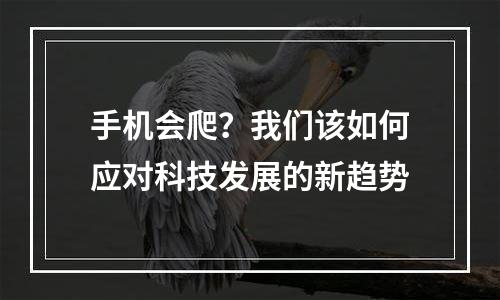 手机会爬？我们该如何应对科技发展的新趋势