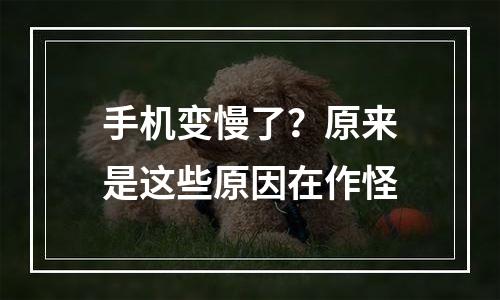 手机变慢了？原来是这些原因在作怪