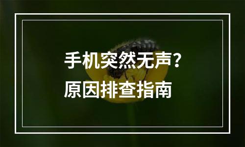 手机突然无声？原因排查指南
