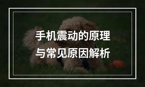 手机震动的原理与常见原因解析