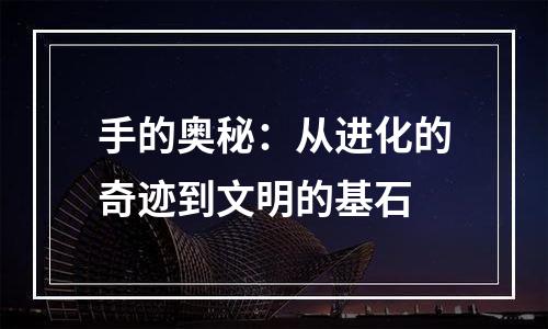 手的奥秘：从进化的奇迹到文明的基石