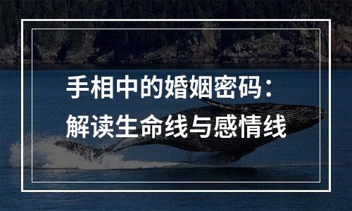 手相中的婚姻密码：解读生命线与感情线
