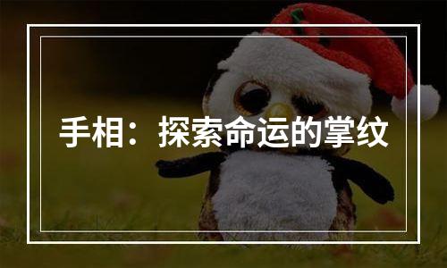 手相：探索命运的掌纹