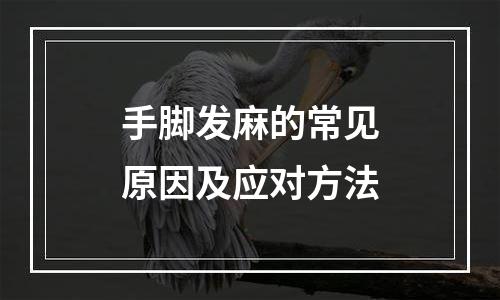 手脚发麻的常见原因及应对方法