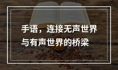 手语，连接无声世界与有声世界的桥梁