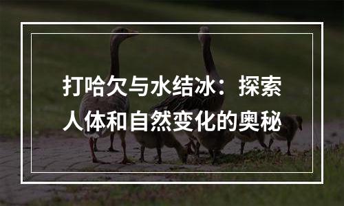 打哈欠与水结冰：探索人体和自然变化的奥秘