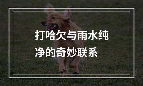 打哈欠与雨水纯净的奇妙联系
