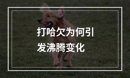 打哈欠为何引发沸腾变化