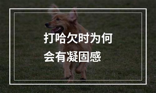 打哈欠时为何会有凝固感