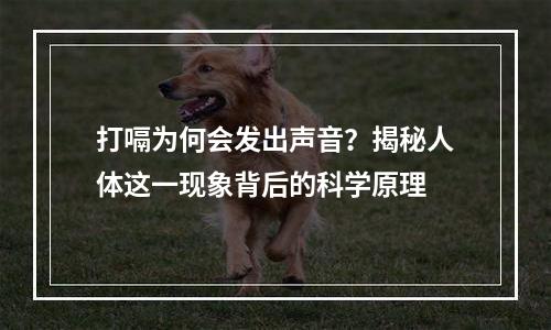 打嗝为何会发出声音？揭秘人体这一现象背后的科学原理
