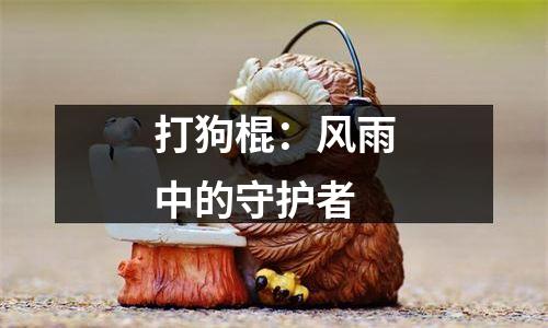 打狗棍：风雨中的守护者