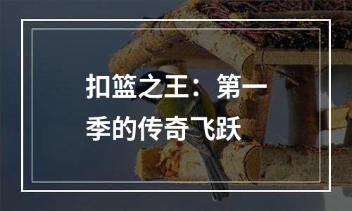 扣篮之王：第一季的传奇飞跃