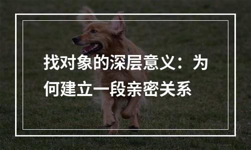 找对象的深层意义：为何建立一段亲密关系
