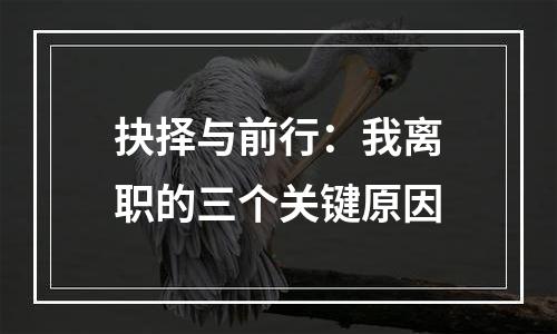 抉择与前行：我离职的三个关键原因