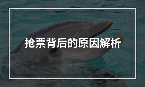 抢票背后的原因解析