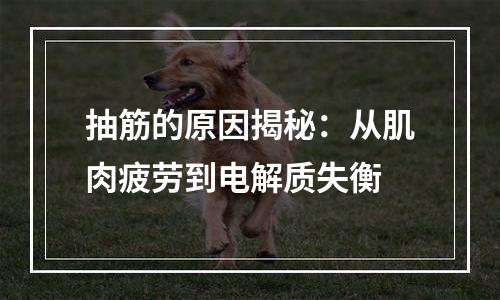 抽筋的原因揭秘：从肌肉疲劳到电解质失衡