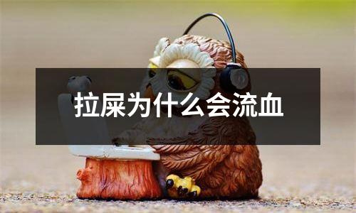 拉屎为什么会流血