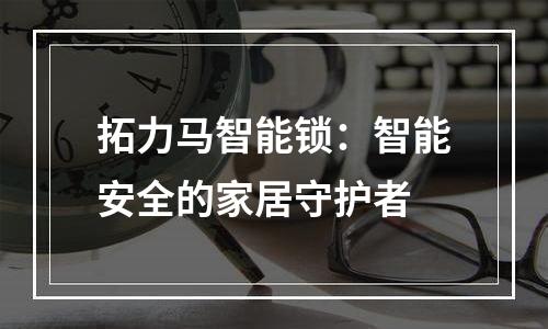 拓力马智能锁：智能安全的家居守护者