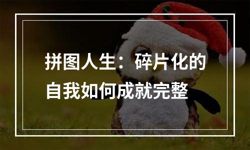 拼图人生：碎片化的自我如何成就完整