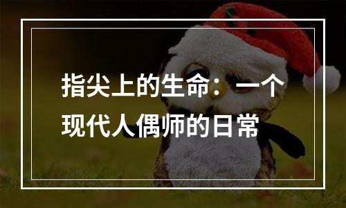 指尖上的生命：一个现代人偶师的日常