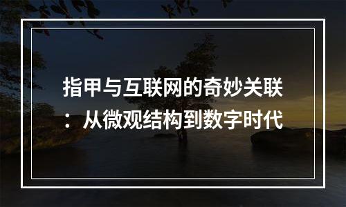 指甲与互联网的奇妙关联：从微观结构到数字时代