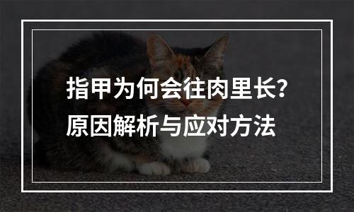 指甲为何会往肉里长？原因解析与应对方法