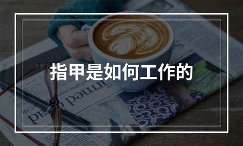 指甲是如何工作的