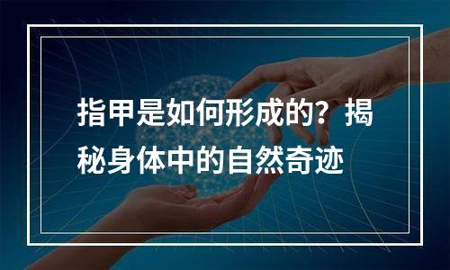 指甲是如何形成的？揭秘身体中的自然奇迹