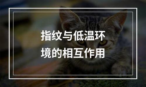 指纹与低温环境的相互作用