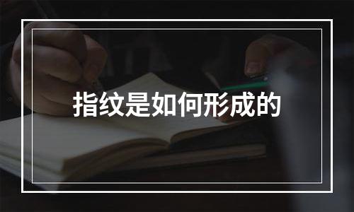 指纹是如何形成的