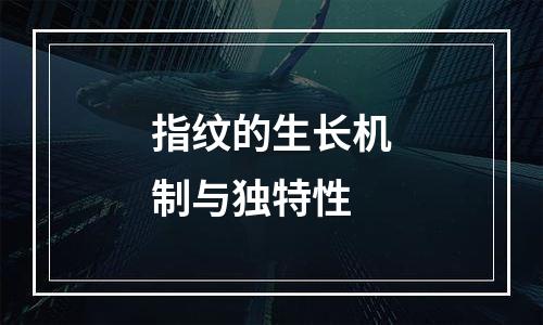 指纹的生长机制与独特性