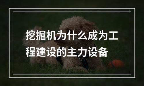 挖掘机为什么成为工程建设的主力设备