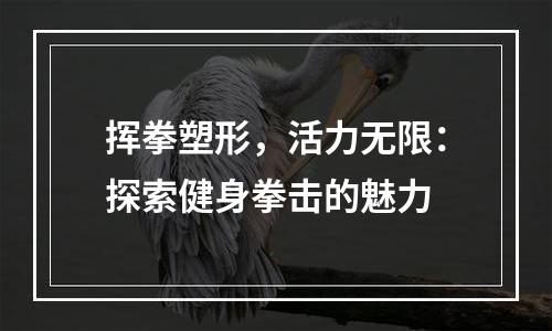 挥拳塑形，活力无限：探索健身拳击的魅力