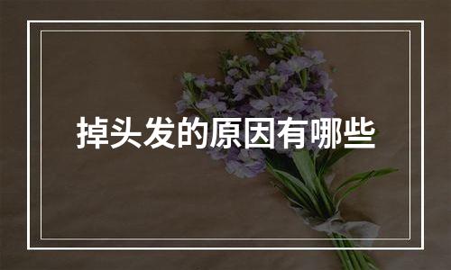 掉头发的原因有哪些