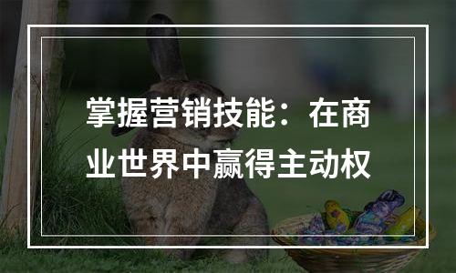 掌握营销技能：在商业世界中赢得主动权