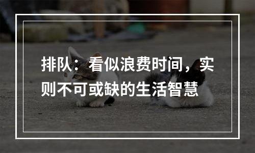 排队：看似浪费时间，实则不可或缺的生活智慧