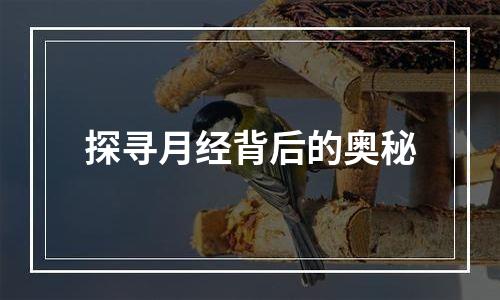 探寻月经背后的奥秘