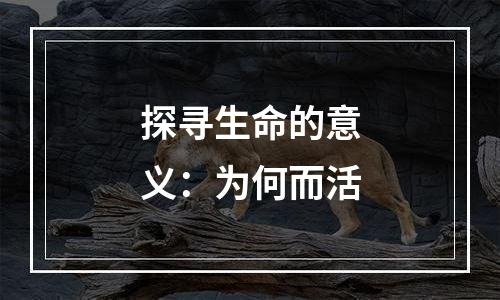 探寻生命的意义：为何而活