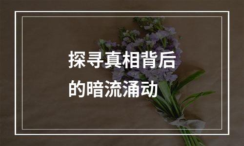 探寻真相背后的暗流涌动