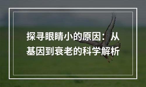 探寻眼睛小的原因：从基因到衰老的科学解析