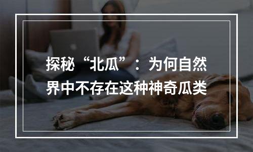 探秘“北瓜”：为何自然界中不存在这种神奇瓜类
