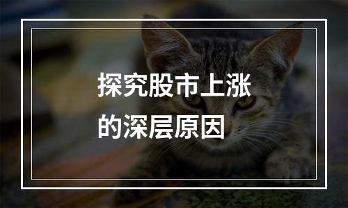 探究股市上涨的深层原因