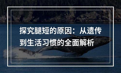 探究腿短的原因：从遗传到生活习惯的全面解析
