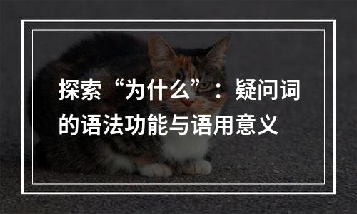 探索“为什么”：疑问词的语法功能与语用意义
