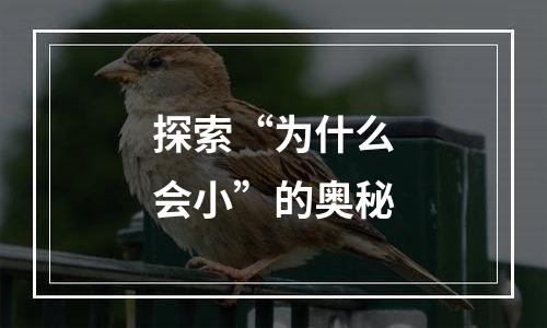 探索“为什么会小”的奥秘