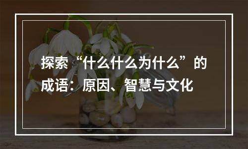 探索“什么什么为什么”的成语：原因、智慧与文化