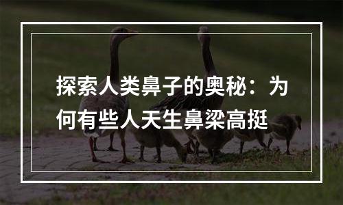 探索人类鼻子的奥秘：为何有些人天生鼻梁高挺