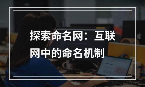 探索命名网：互联网中的命名机制
