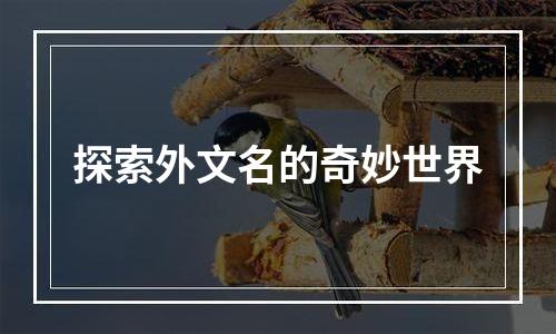 探索外文名的奇妙世界